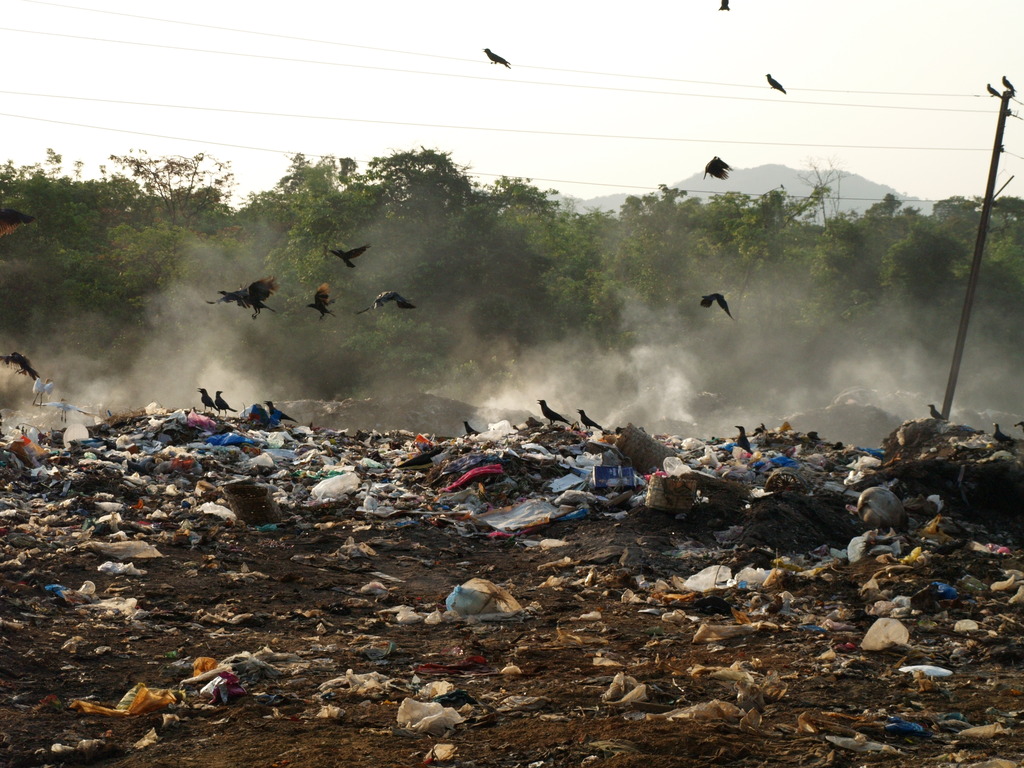 Emisja metanu – mroczna strona tworzyw biodegradowalnych