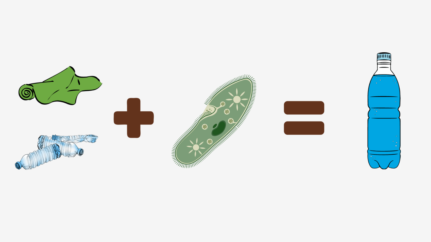 Butelka PET z tkaniny poliestrowej? – recykling enzymatyczny firmy Carbios